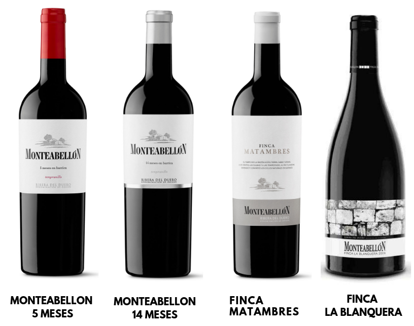 BODEGAS MONTEABELLÓN 🇪🇸 SALE!!